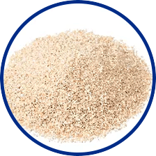 L-Lysine