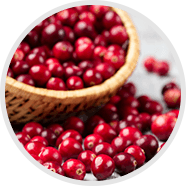 Cranberry Extract